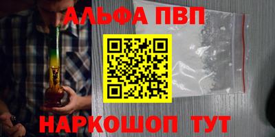 спиды Аргун
