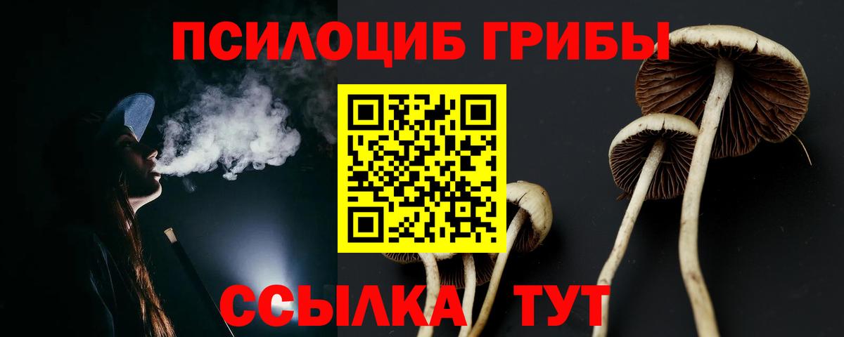 Галлюциногенные грибы прущие грибы  Галлюциногенные грибы Magic Shrooms  Александров  Вход с VPN 